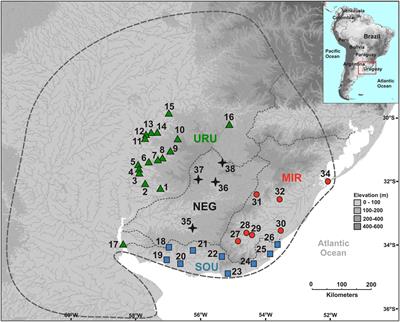 Population Genetic Structure of Cnesterodon decemmaculatus (Poeciliidae): A Freshwater Look at the <mark class="highlighted">Pampa Biome</mark> in Southern South America